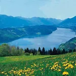 Laerchenhof فندق
