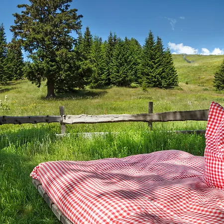 Отель Laerchenhof 4*