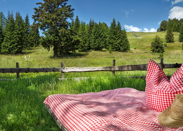 Hotel Laerchenhof 4*